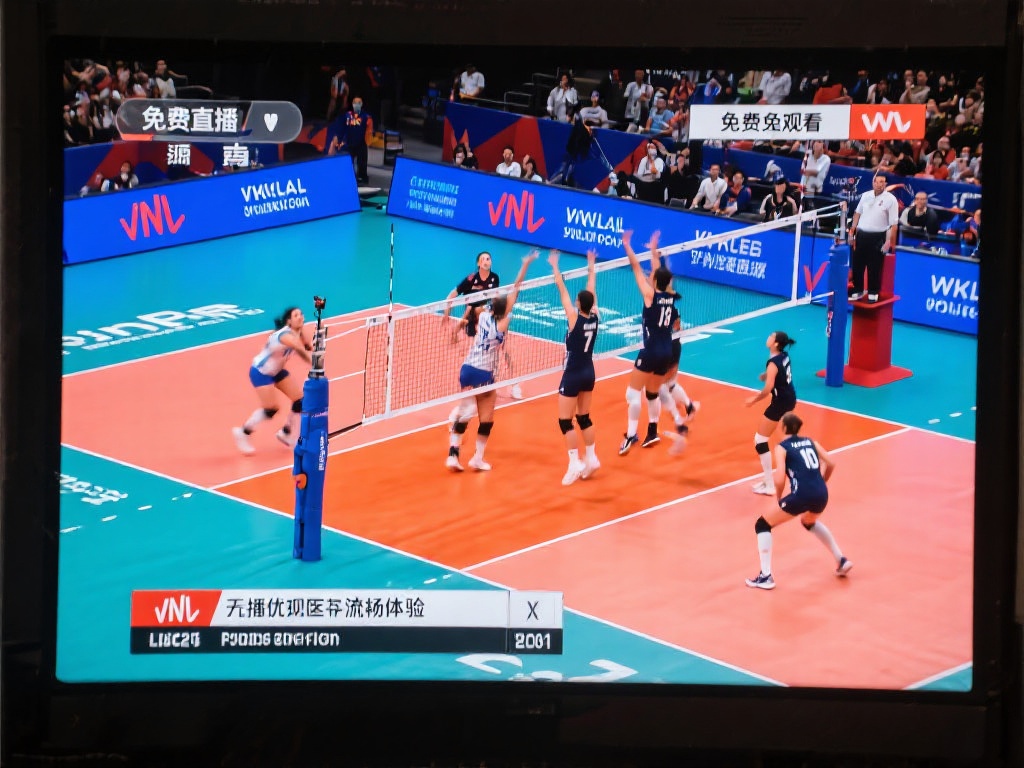 排球直播_排球直播免费观看_排球直播免费观看无插件